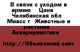 В связи с уходом в армию  › Цена ­ 1 - Челябинская обл., Миасс г. Животные и растения » Аквариумистика   